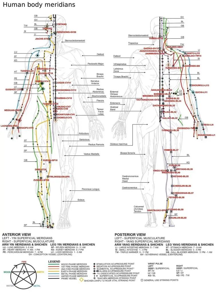 chinese meridians